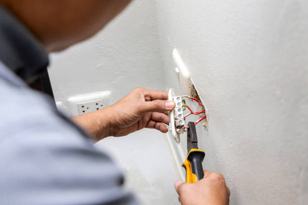 Best Electrician for Home Renovation  in Walled Lake, MI
